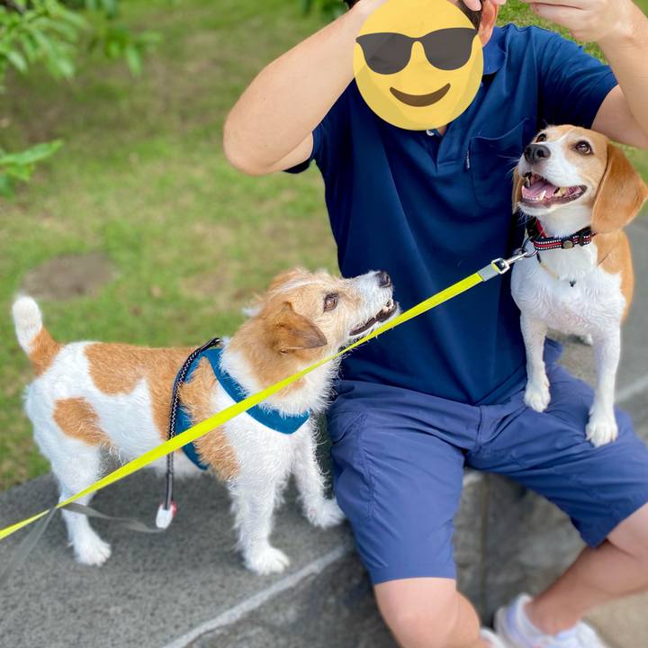 C5fcb188 22af 4ac2 bddf 13a42085744e 1687693345387