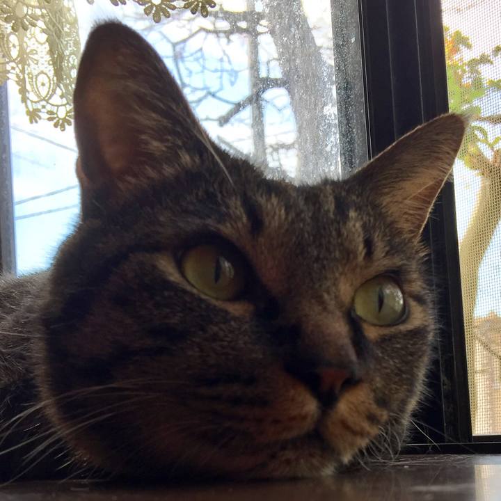 C5fcc0c7 6a1c 4880 be7b 4b78b11d1464 1565529811969