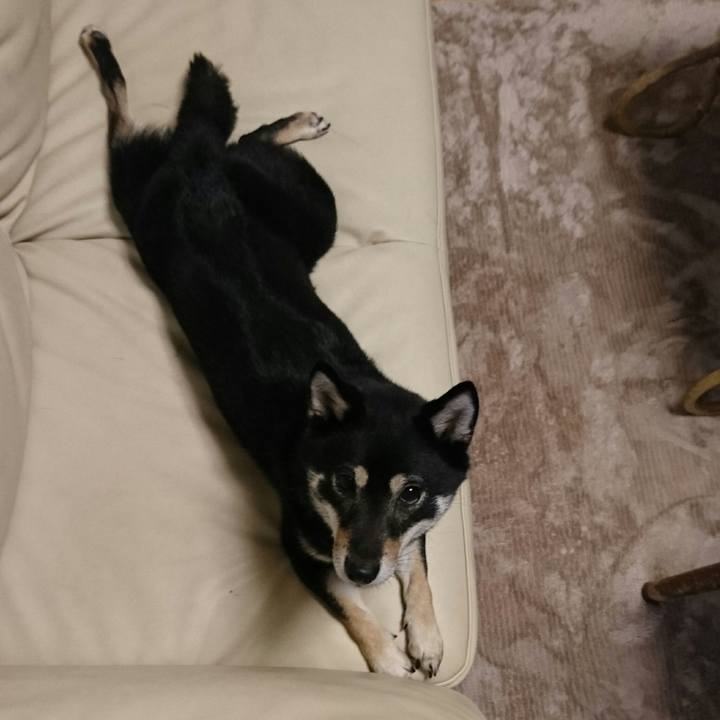 C5fce019 aac8 4e7f abfe 1ed602871eb7 1513080292455