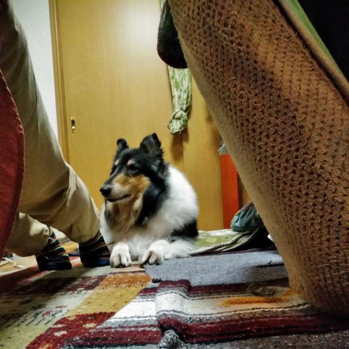 C5fcf689 7ac1 4c91 8959 b75a7e295eb0 1541077472650