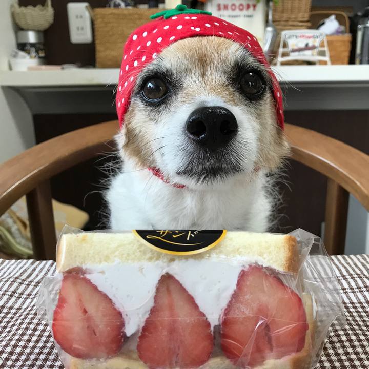 C5fd1597 5ed5 48a6 a58e 86187a718aad 1621047606402