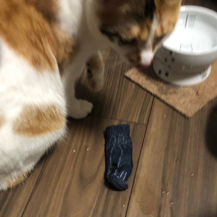 C5fd612f 9ed5 430d b58d 7950fe107c77 1589547530096