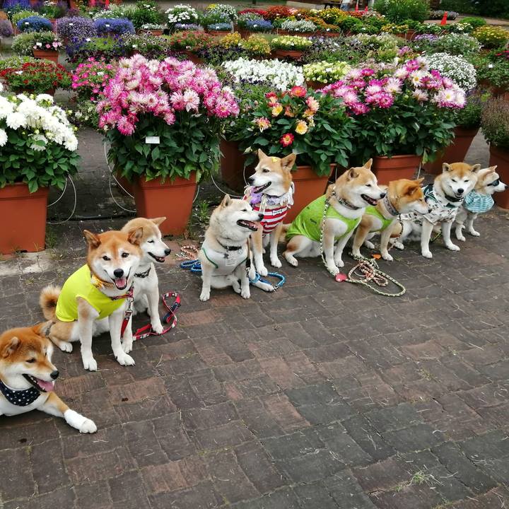 C5fd62f8 29bd 4643 8943 1bb3ec14e923 1686671038486