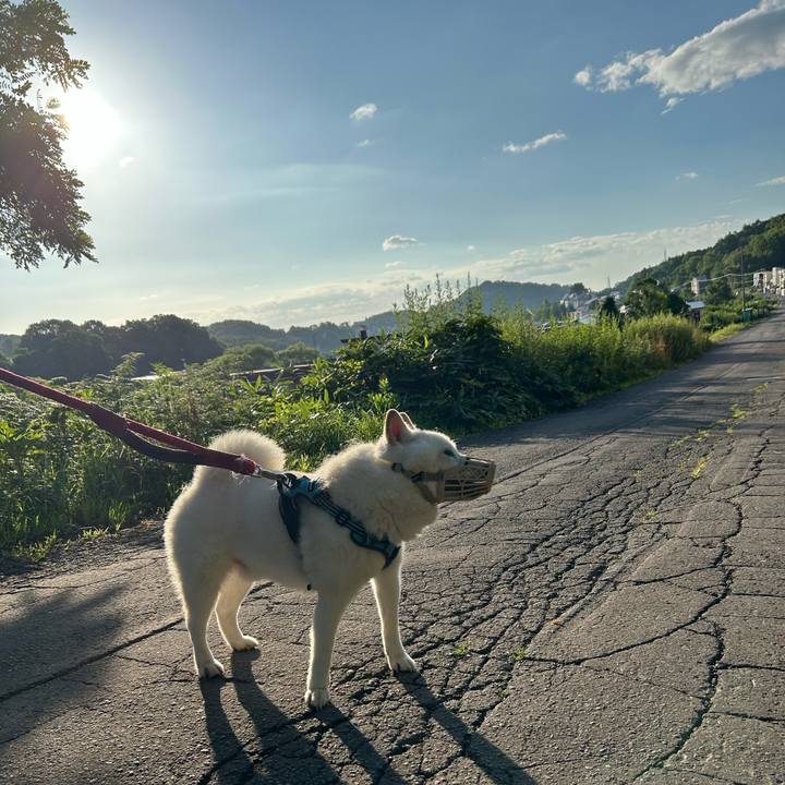 C5fd7360 1f80 4b15 bf80 2287decefca9 1753045433662