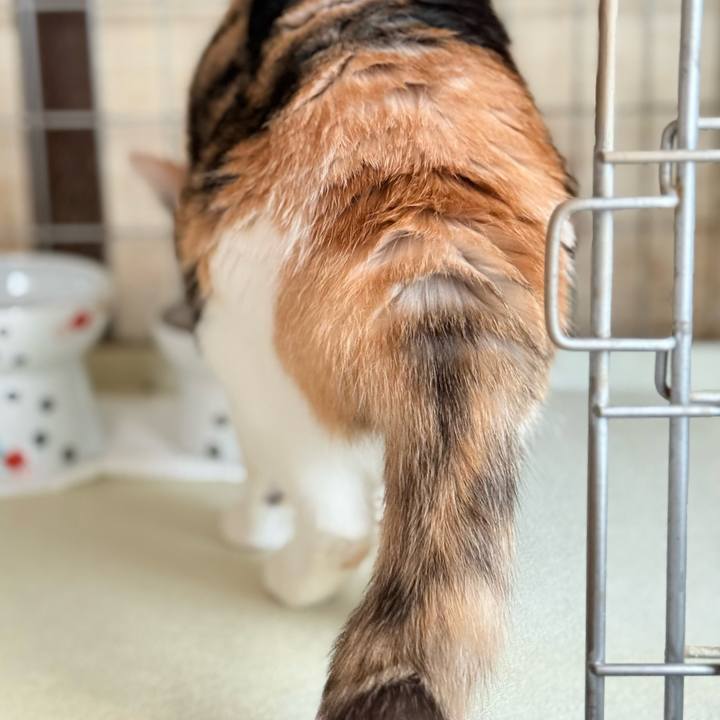 C5fd89ee fa9b 4282 b37e 835d5213dca5 1750647305835