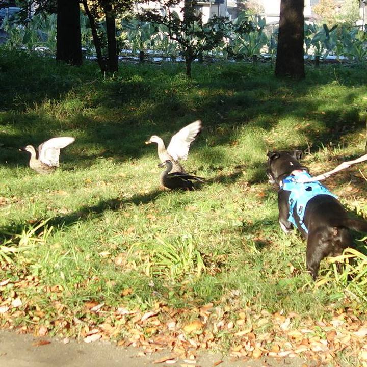 C5fd9976 b386 4a89 ad2a b267469070a7 1636159137493