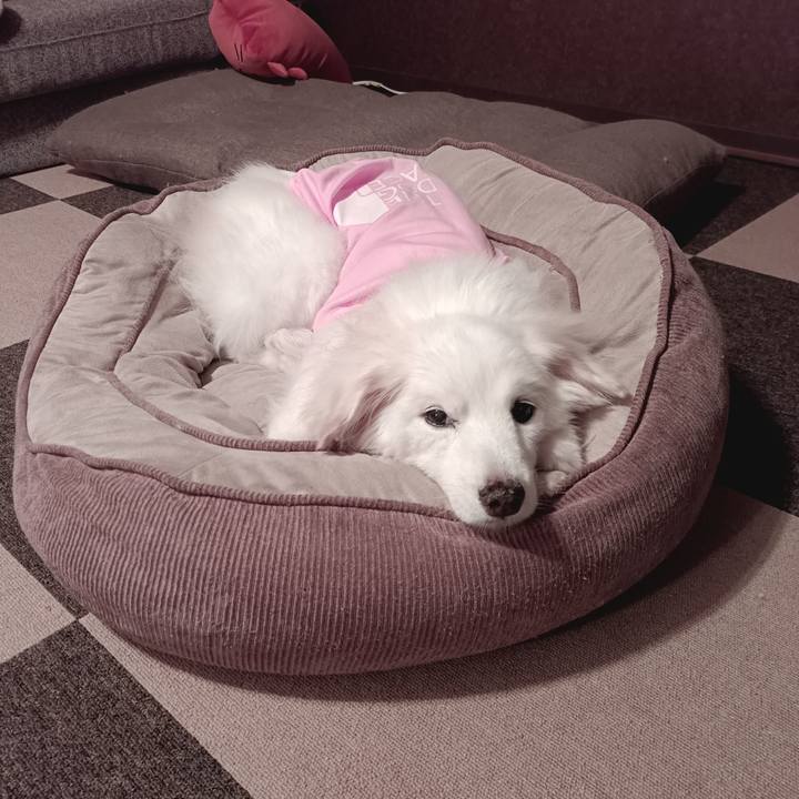 C5fdb89c 245f 4595 a387 3bd083d60dd0 1758053646605