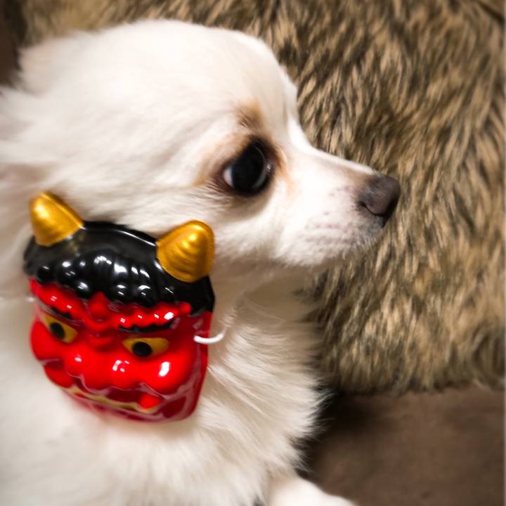 C5fdc2c0 3f63 4b8b 89a1 4ea90b23415d 1549191390713