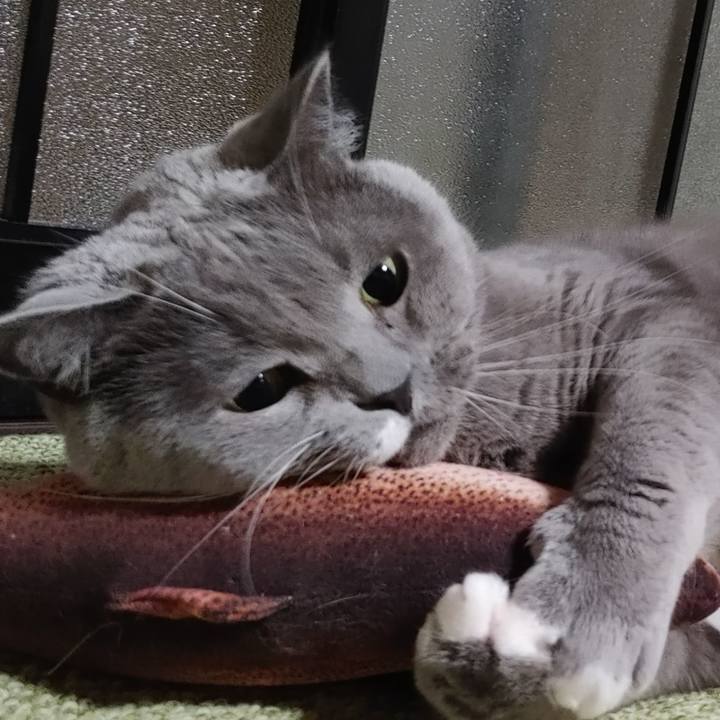 C5fdd30e 5ea5 4c85 94d1 36fc15e9a813 1669932642276