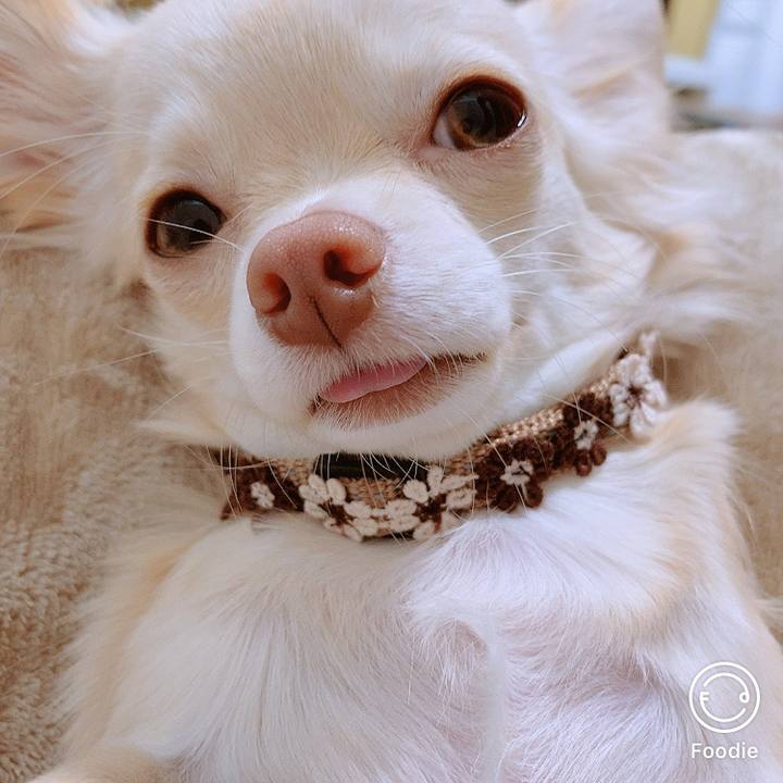 C5fe0ddd 877f 43dc a11a 2b6a7a3e6f89 1604301967494