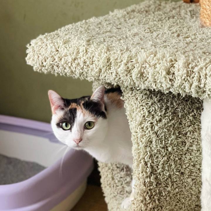 C5fe1d44 0401 4f68 b7ea d412e388a6e9 1663122710061