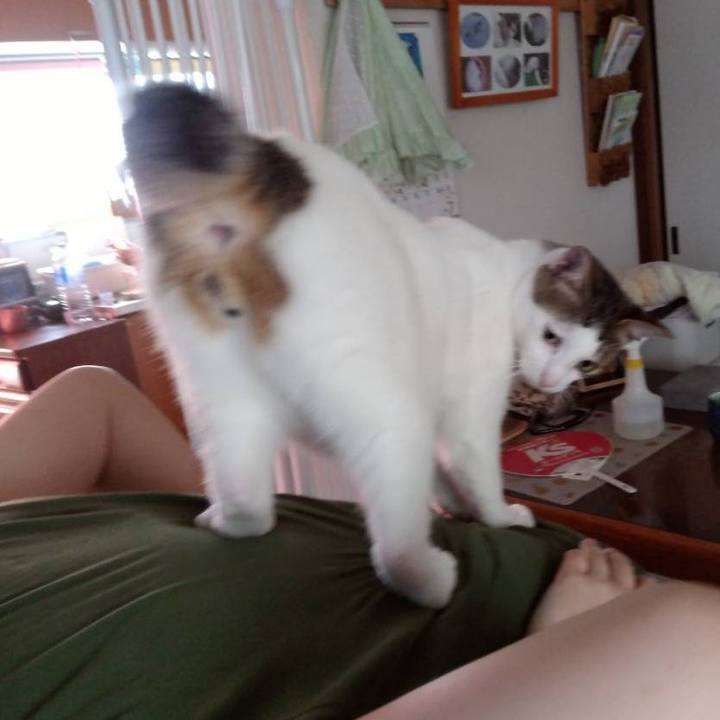 C5fe6e37 6a20 4c58 a0e5 2c528efaf651 1690009328443