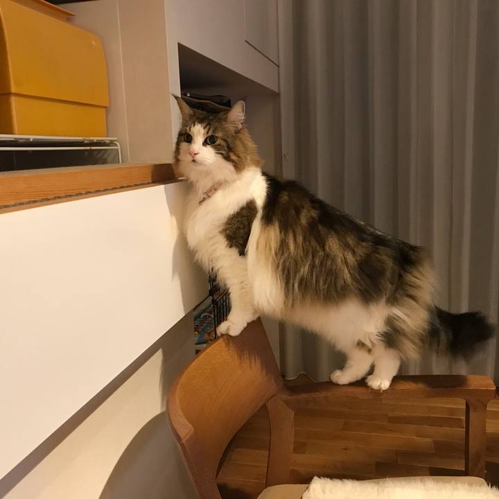 C5fe7632 8799 4cc1 86cf 88c5c904b3e1 1666002917764