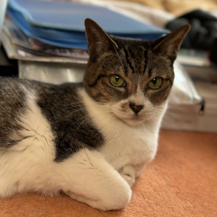 C5fe8552 3566 4a40 b4ab 7c8da5616025 1669082894360