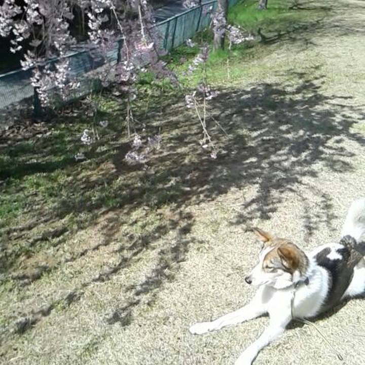 C5fe95d8 1804 4d02 992a 4a2013111c27 1522121319032