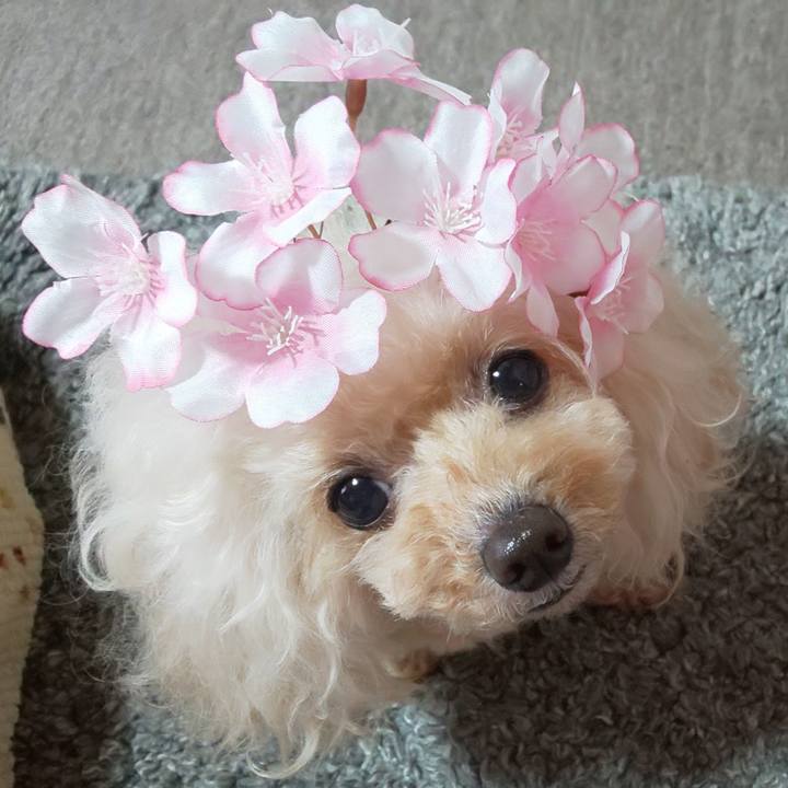 C5fea85b 71f0 43fc 930d 40d0c4a9220e 1708591497069