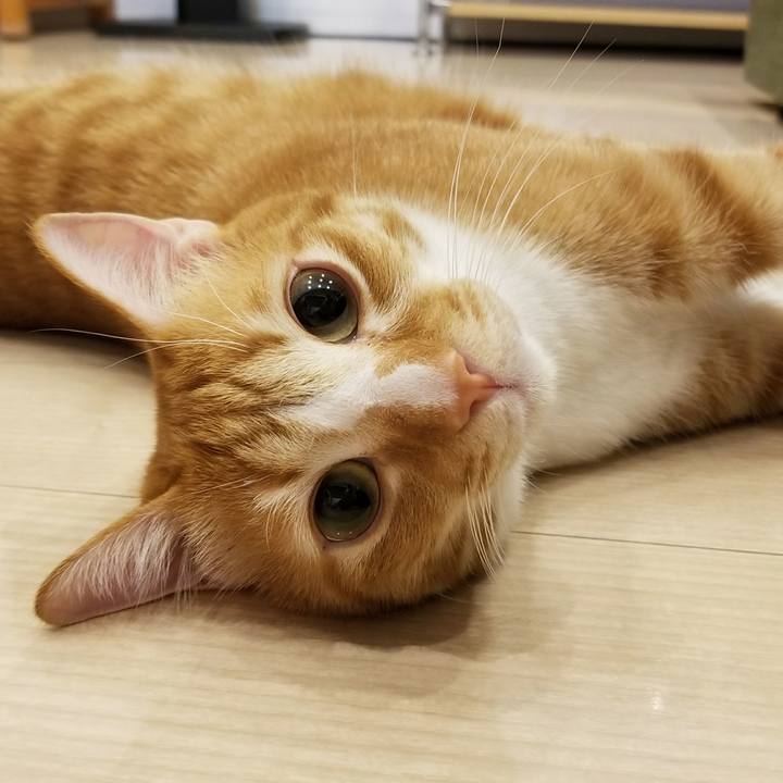 C5febc4d 22f0 42e1 a522 ef4beff2b430 1517924426845