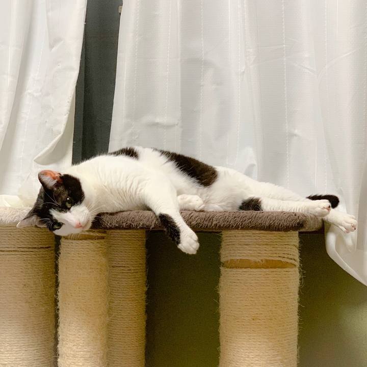 C5fedf14 7485 4b6e adb8 8e94a3b2d0a6 1559872475668