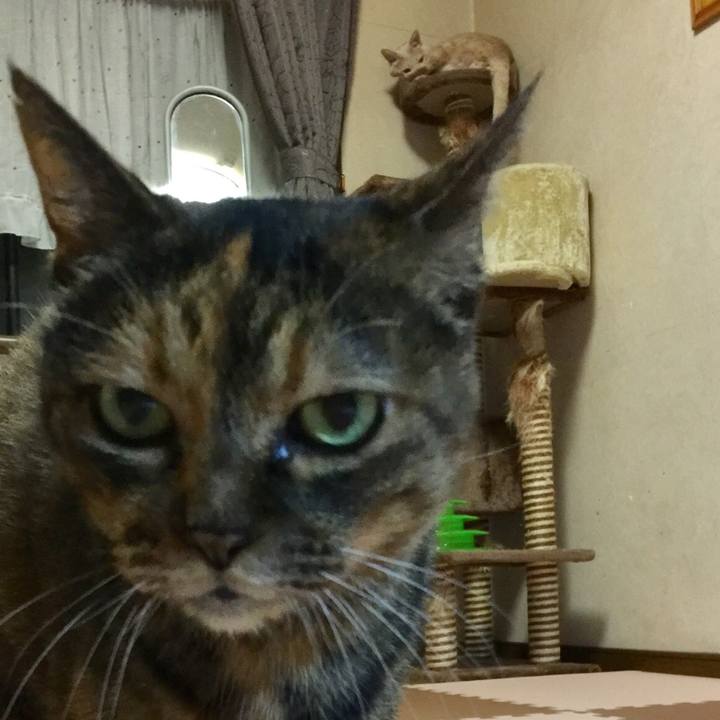 C5fef427 0d39 434b 8d9b ff4da84407cd 1538651016355