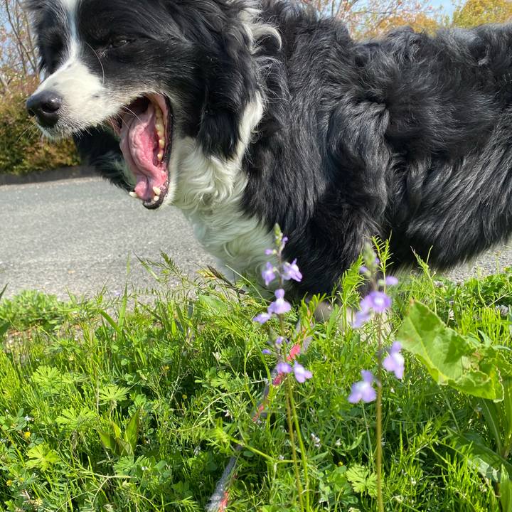 C5feff6a 4f1f 4207 8bef 32cc62d642a9 1617324275218