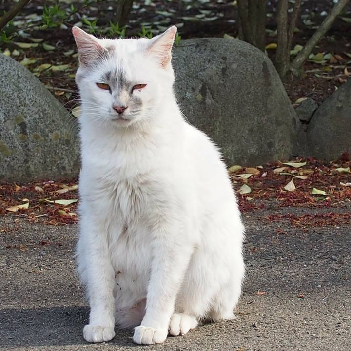 C5ff07f8 6d97 4695 b4c7 34fe683a5ed3 1557653702736