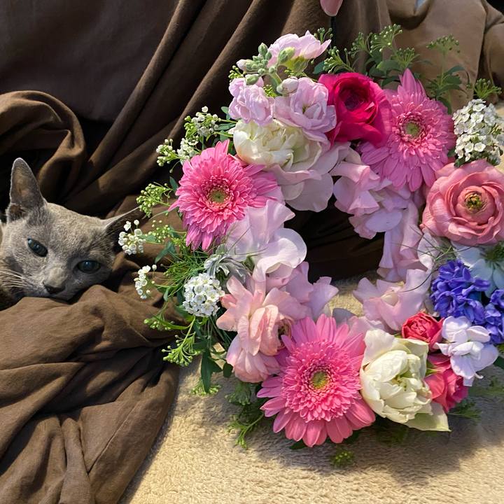 C5ff3bea 2dc2 442b 8a2d 2b7c8ad2591f 1645873846483