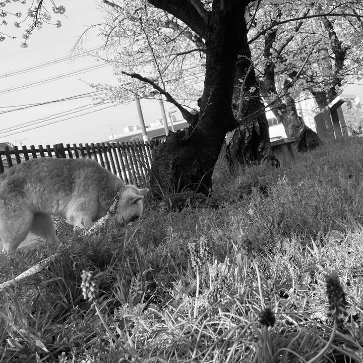 C5ff6593 650a 4899 8de8 7584c3316128 1743814419178