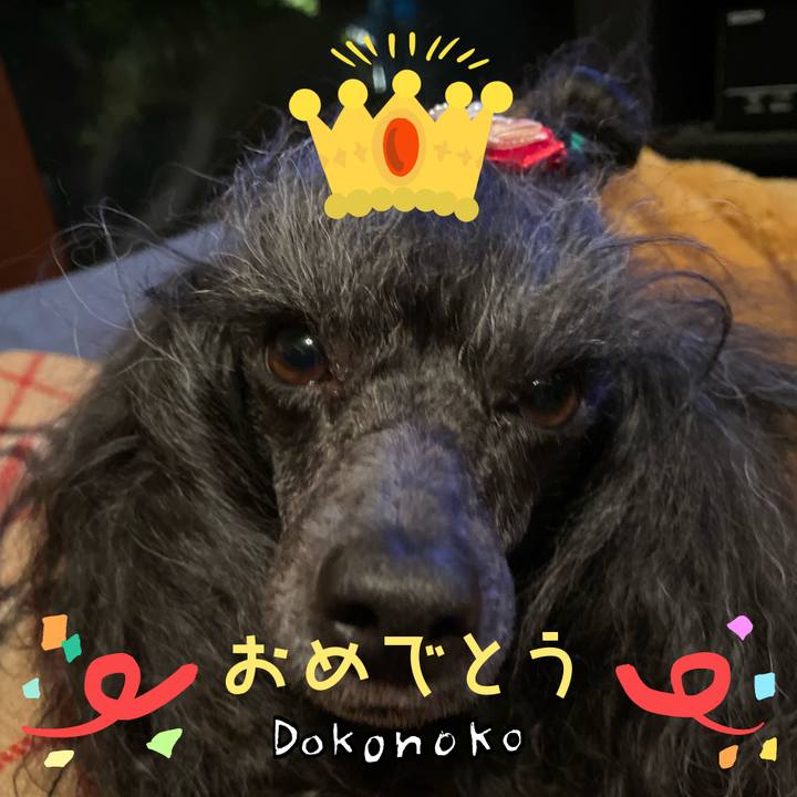 C5ff6ac3 5316 47a5 bbc0 c2c397a48e14 1686009858283