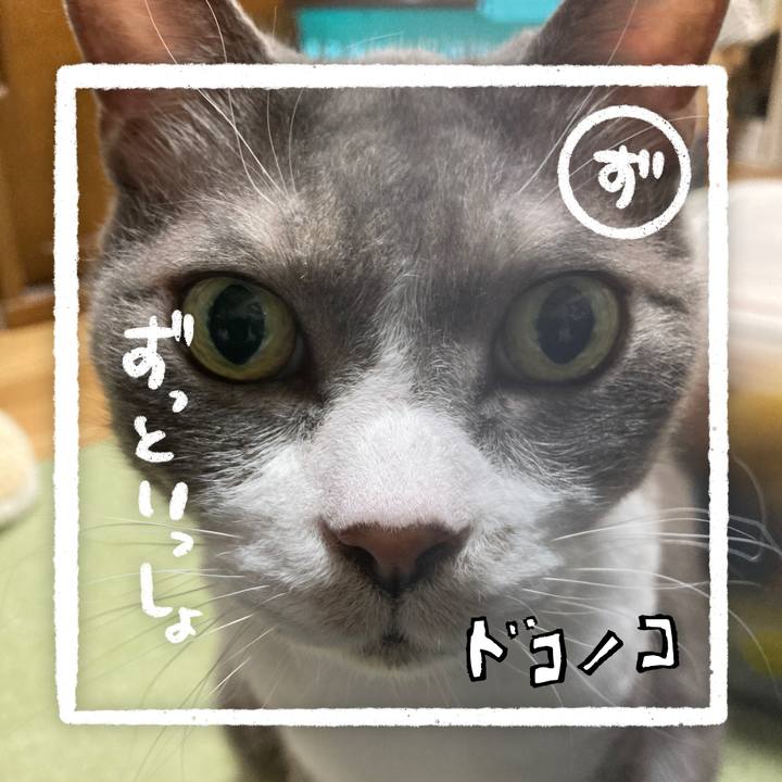 C5ff90b2 98fa 4573 8e49 eb5db7db886b 1685952913414