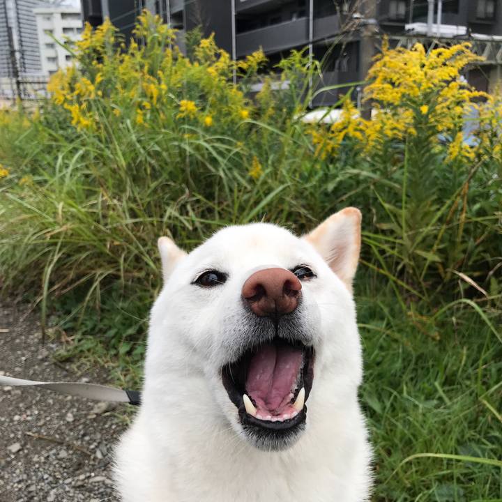 C5ffeb1e 8c34 4483 beb6 ed2c00eeff1e 1571533783836