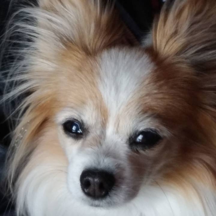 C5ffef2e cd4d 4365 805f 7e762202ac86 1597587244363