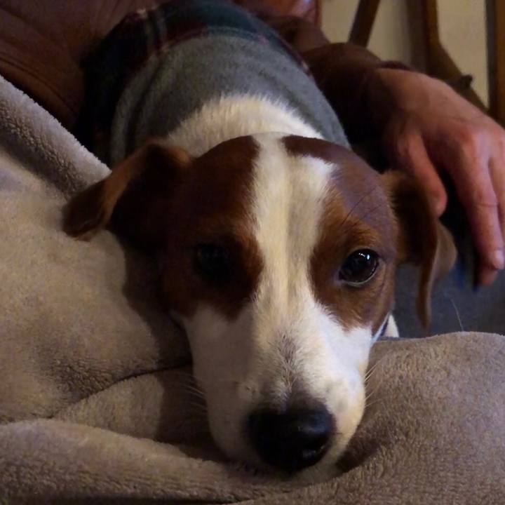 C6000753 2ae5 40fe 8a10 ad613c1cc90b 1546761555792