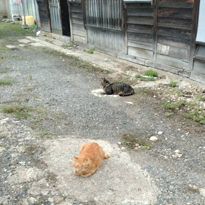 C6004187 8bc6 4aef be10 5cb7211b692c 1694993032637