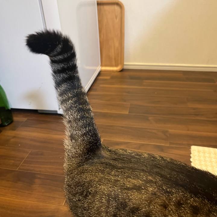 C600e90f 31af 4e3d b0ec d78c5e6cd3f1 1751897750444