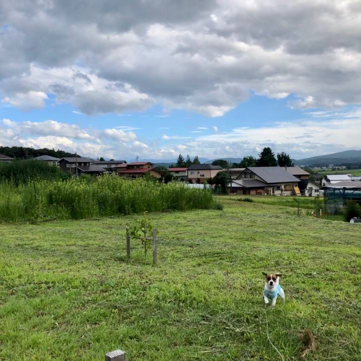 C600f271 cb58 4291 9cd0 959f6362696a 1565866804852