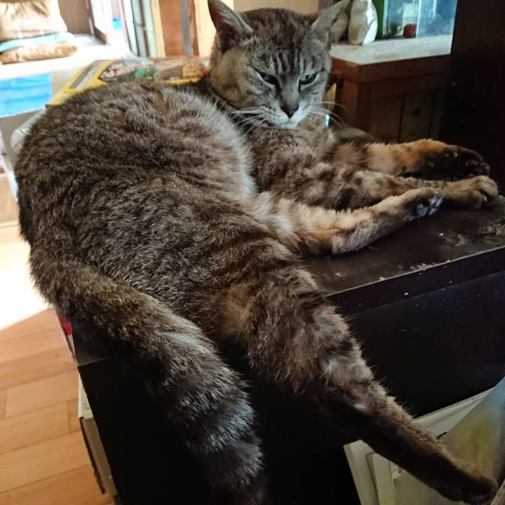 C60118b9 5152 4af7 8c4c 3cfde7235b12 1564204870676