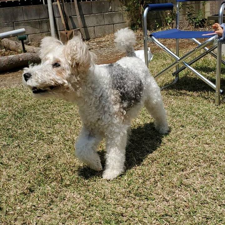 C6011d47 5e99 4a15 958f 05df8cbe262e 1588137093198