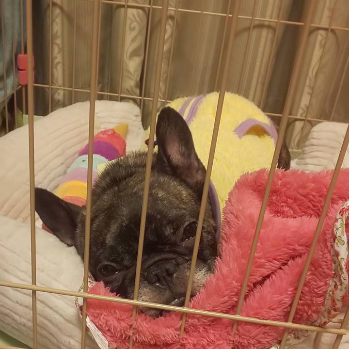 C6011d98 5974 42a1 bf9d 1ea203170eec 1675001973705