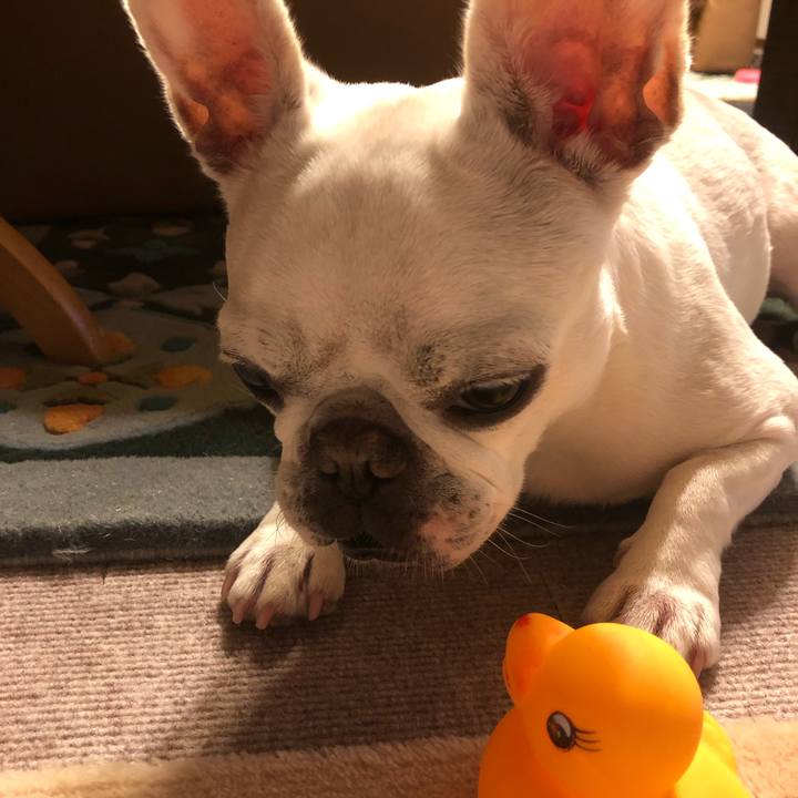 C60133ef 3ff9 4c85 8168 2ad35753cae9 1626777164098