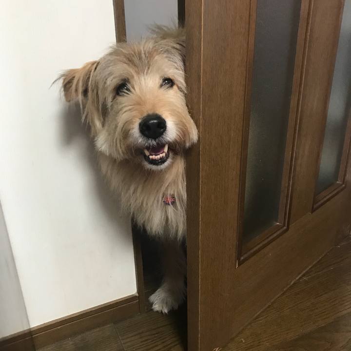 C60140ce db4b 43b6 b840 f7c540c8dc04 1553486308416