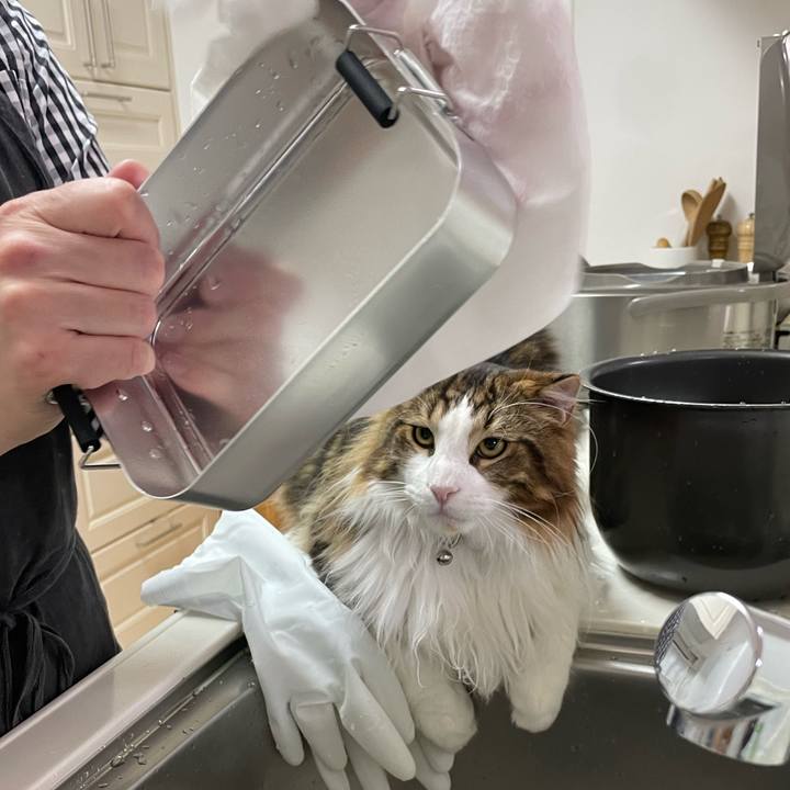 C601c38d 84d3 4b54 b949 07a33f2de3a4 1649155194693