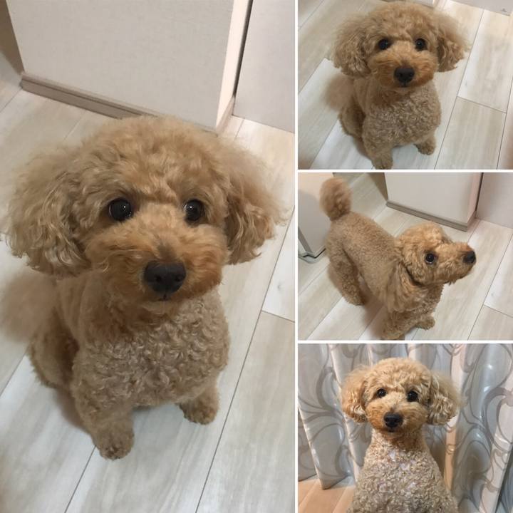 C601e780 ea3f 494a 8443 e2297500ed12 1560857776448