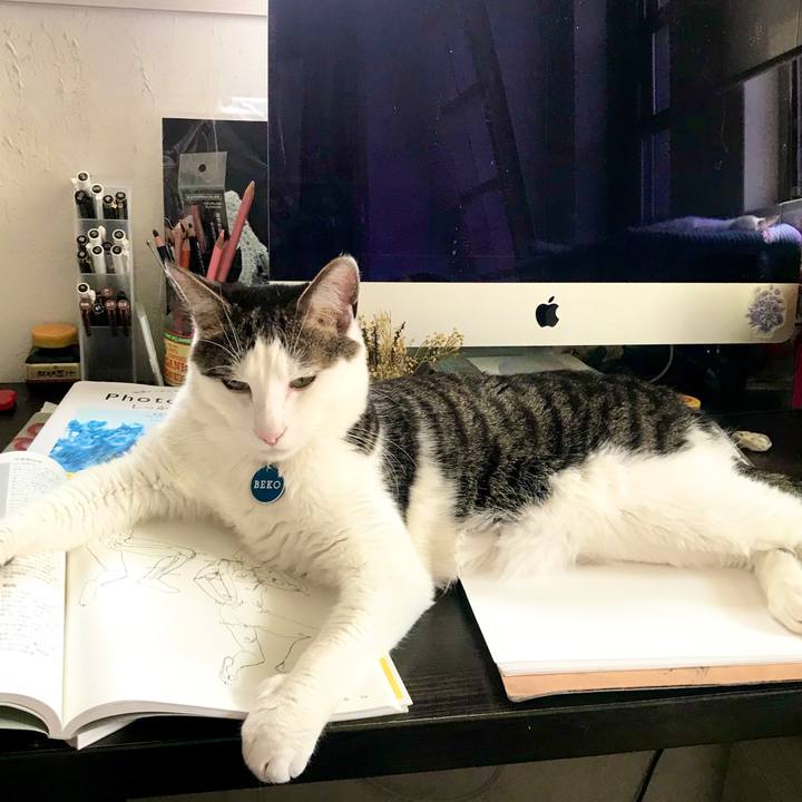 C601ec08 204a 4b6d afff d4f9b81b397d 1591195099447