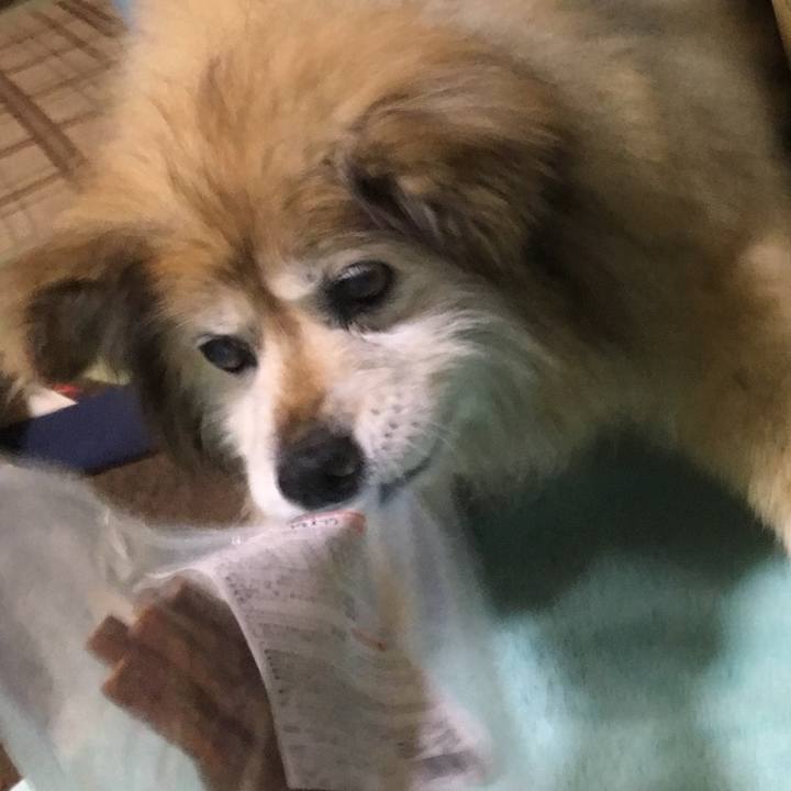 C602021f f408 4a0e 9a83 ad0fa3e52a02 1615943038460