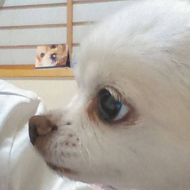 C6020aa0 d855 4618 9117 c5ac3e8a38c7 1570855866634