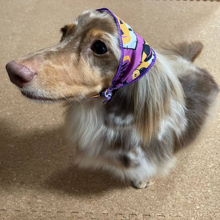 C6021768 b6a7 4f20 ad71 ce0bf1849d9f 1761911540154