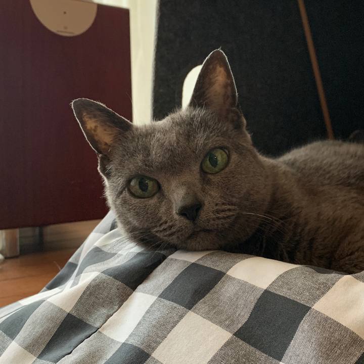 C6024336 0f64 4161 9f5f 39412c8fce28 1557703694991