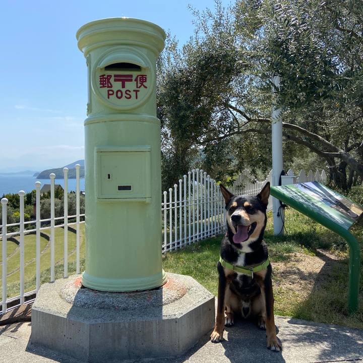 C60277f2 a212 465e 9f7d d077e644da48 1619264362557