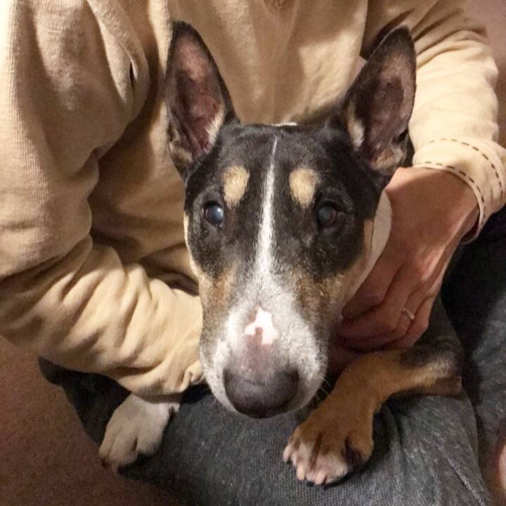 C602a03b afd4 4a2d a6fd df04d13052c9 1509183953638