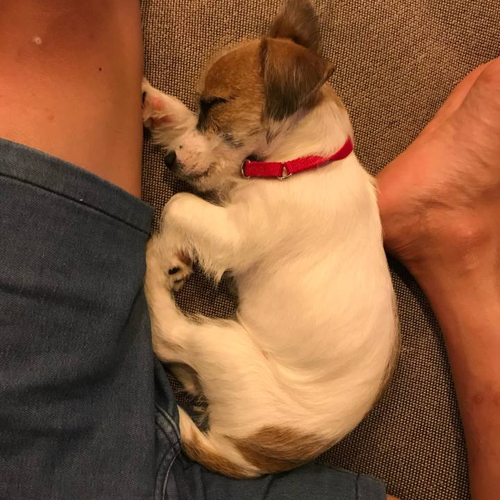 C602edd7 e31f 495b aa7b da5cf767c1fe 1757684148603